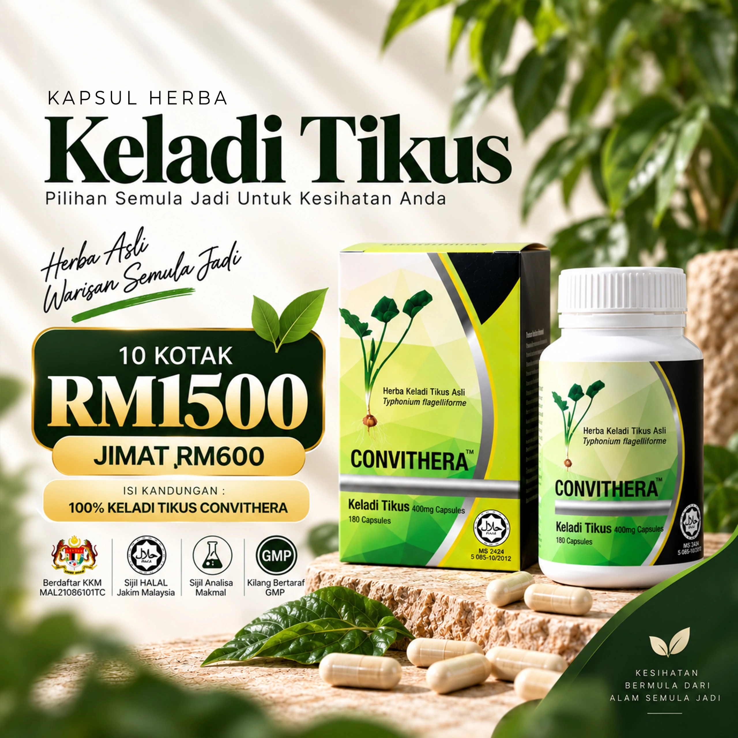 Pakej 10 Kotak Convithera RM1500