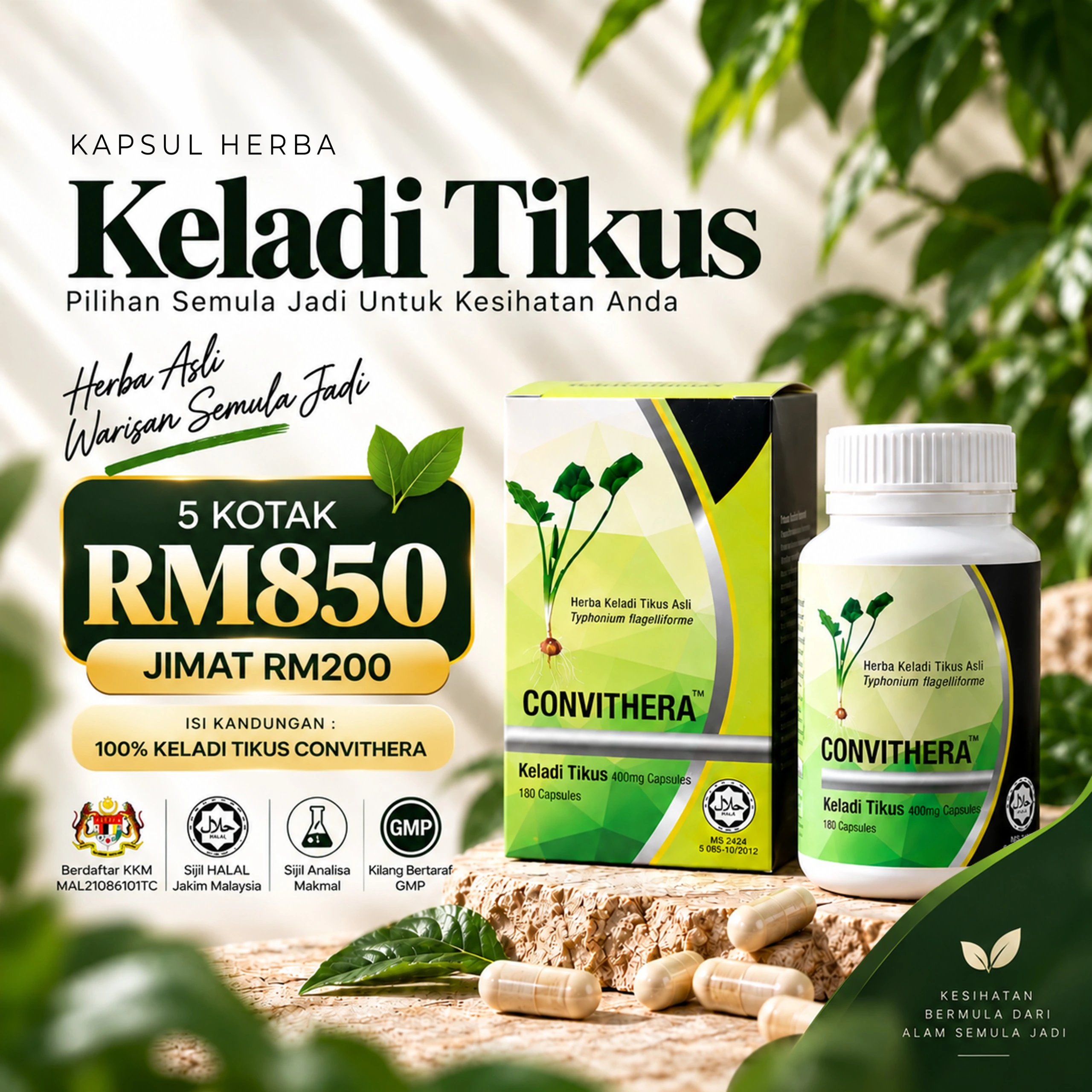 Pakej 5 Kotak Convithera RM850